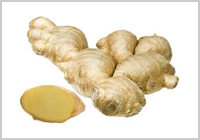 > </div>
<div class=